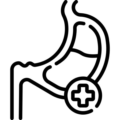 Human stomach and upper digestive tract with a medical cross symbol, representing gastroenterology or digestive healthcare.