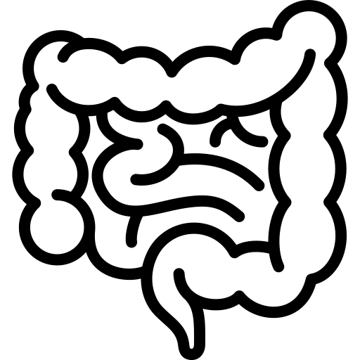 Small and Large intenstine