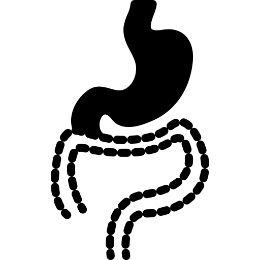 Illustration of digestive system of human.